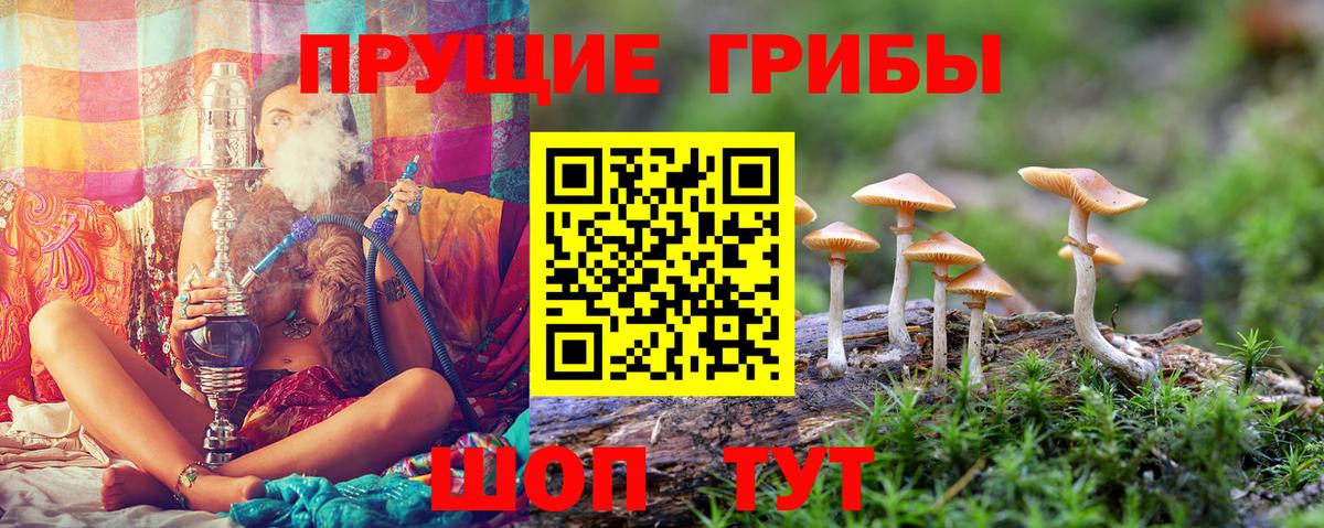 Чита  Галлюциногенные грибы Magic Shrooms  Вход с VPN  Псилоцибиновые грибы Cubensis 